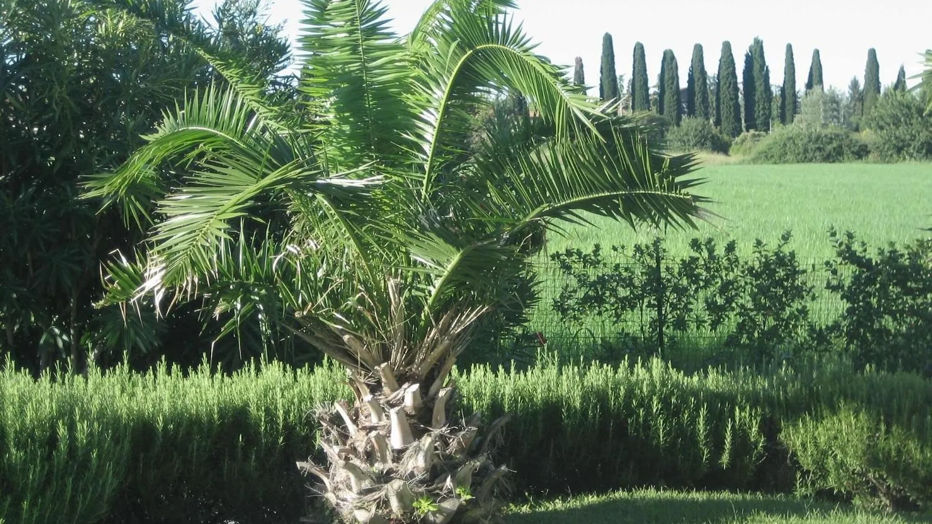 Holiday Home With Nicely Decorated Interior Near Lake Garda Lazise